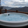 Cyanna Valley Spas 102 PNP (120V)