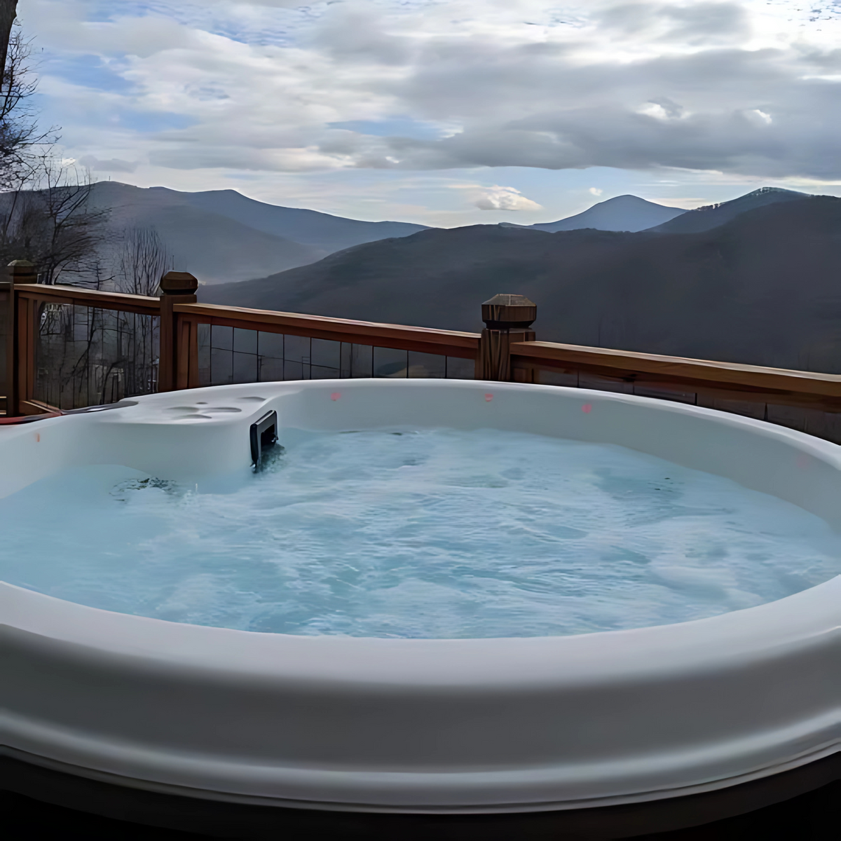 Cyanna Valley Spas 102 PNP (120V)