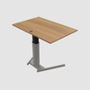 ConSet Electric Adjustable Desk Type 501-19