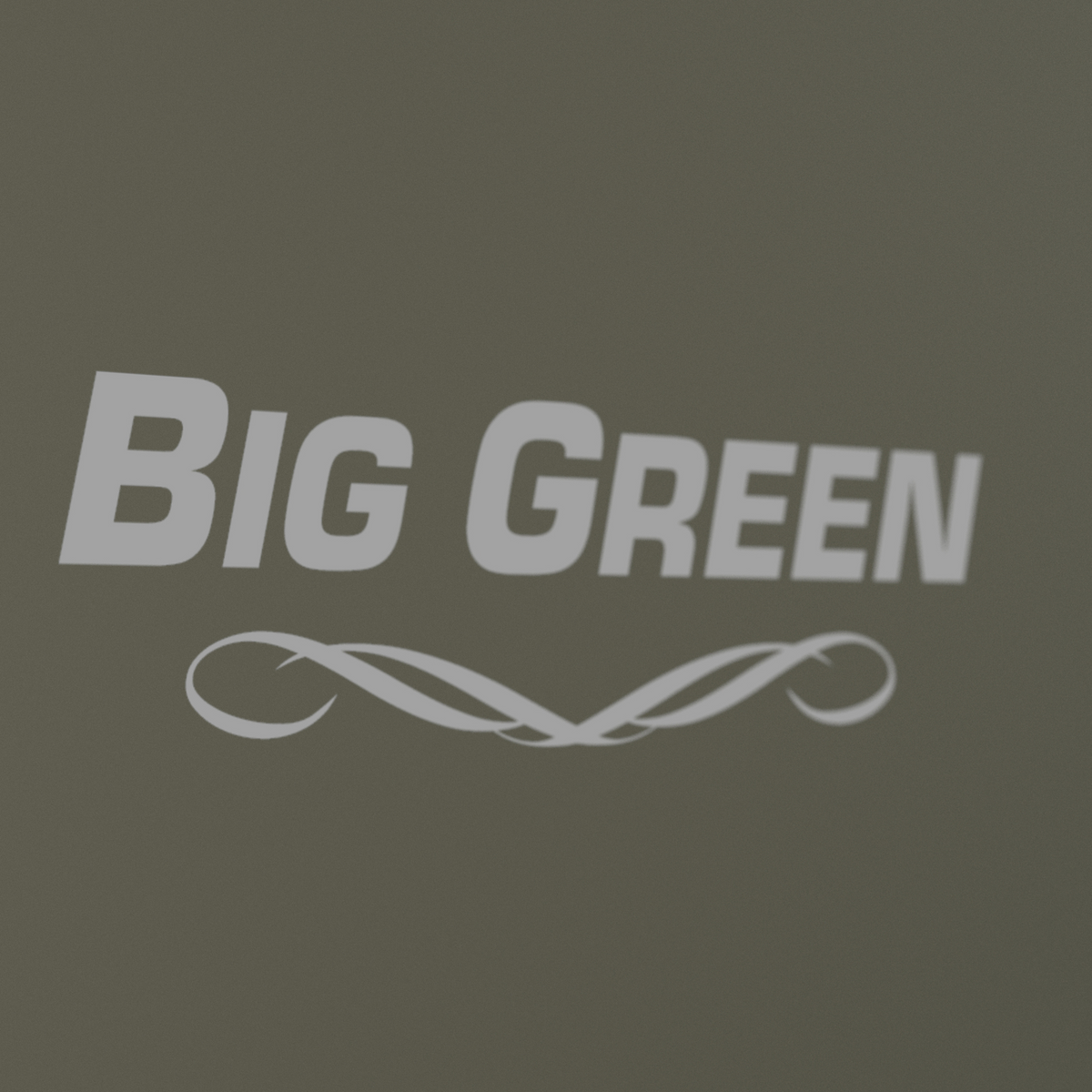 Remington Big Green 80 Gun Safe