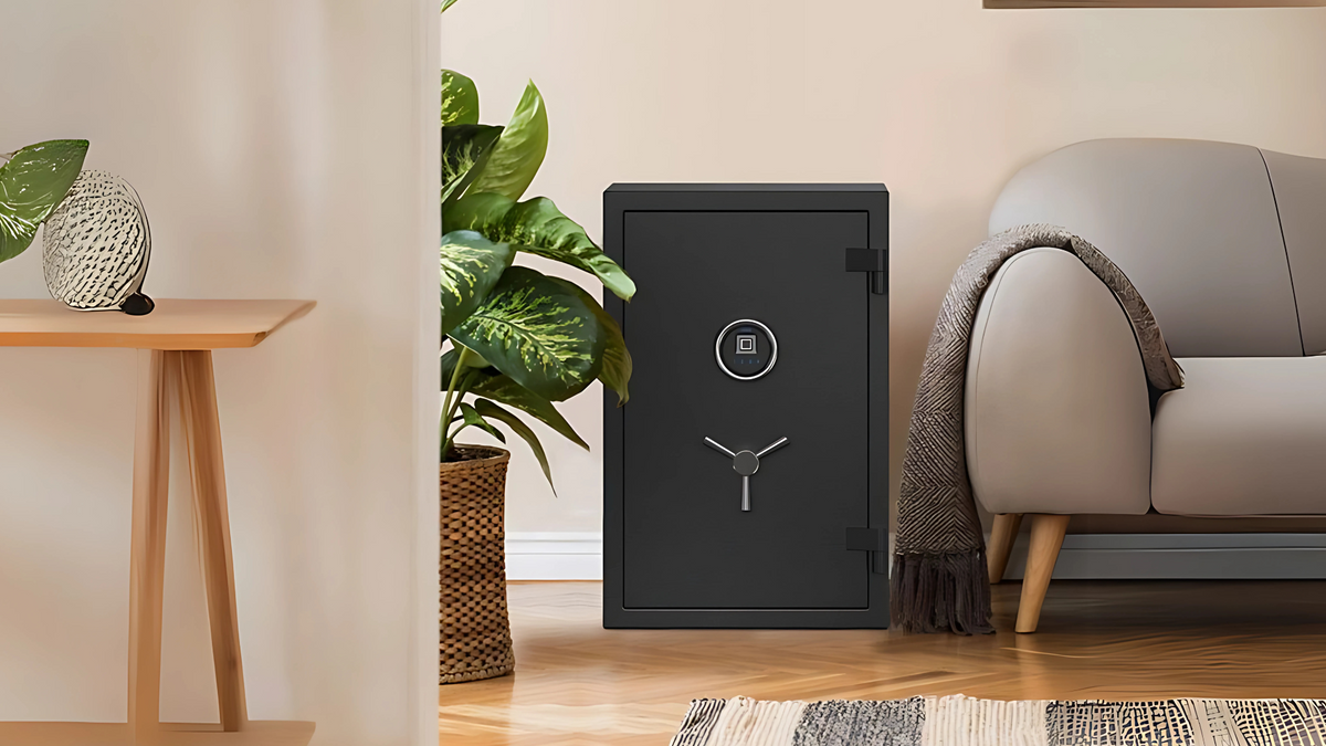 Biometric Safes